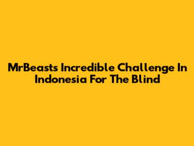 MrBeast's Incredible Challenge In Indonesia For The Blind